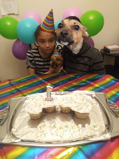 Baby Store «NY Baby Store», reviews and photos, 33 W Fordham Rd, Bronx, NY 10468, USA