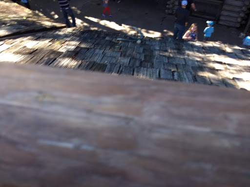 Tourist Attraction «Stanleyville Theater», reviews and photos, 10165 N Malcolm McKinley Dr, Tampa, FL 33612, USA