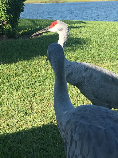 Public Golf Course «The Preserve At Turnbull Bay», reviews and photos, 2600 Turnbull Estates Dr, New Smyrna Beach, FL 32168, USA