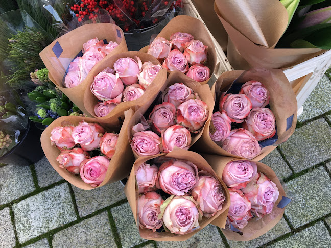 Anmeldelser af Nytorv blomster i Silkeborg - Blomsterbutik