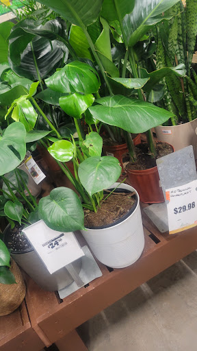 Home Improvement Store «The Home Depot», reviews and photos, 979 Beards Hill Rd, Aberdeen, MD 21001, USA