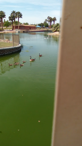 Park «Lorenzi Park», reviews and photos, 3343 W Washington Ave, Las Vegas, NV 89107, USA