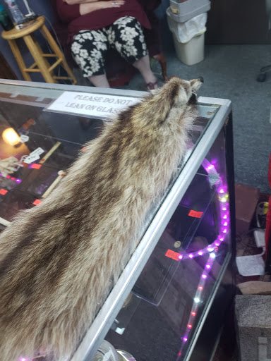 Boutique «Spoox : A Spooky Bootique», reviews and photos, 3453 State St, Salt Lake City, UT 84115, USA