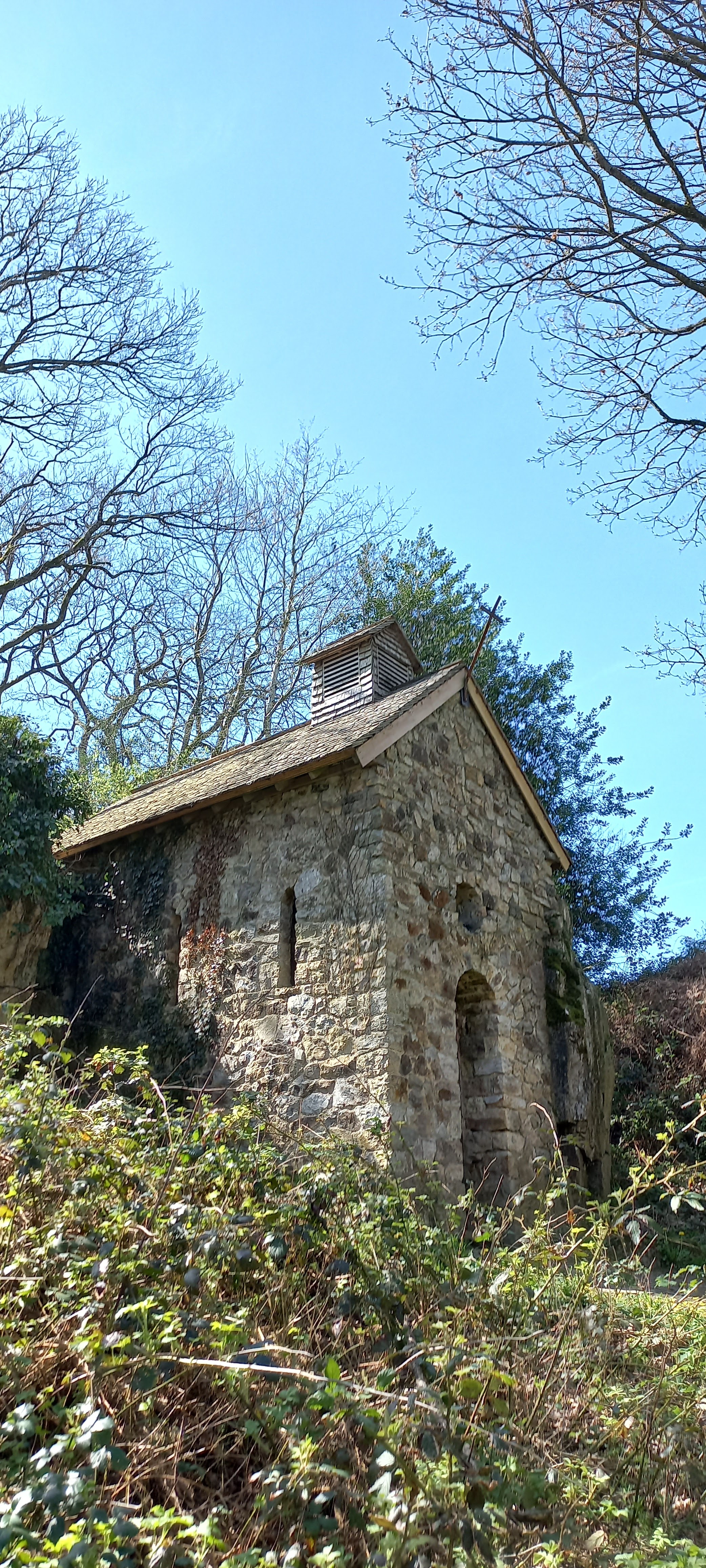 Photo n° 20 de l'avis de Françoise.o fait le 16/04/2023 à 15:18