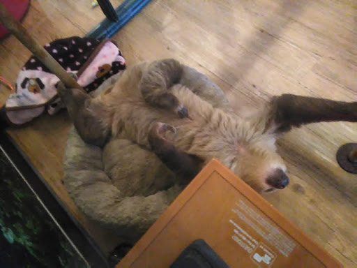 Pet Supply Store «EarthWise Pet Supply - Flower Mound», reviews and photos, 2311 Cross Timbers Rd #307, Flower Mound, TX 75028, USA