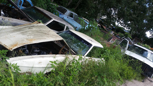 Auto Parts Store «International Auto Parts», reviews and photos, 12905 US-41, Spring Hill, FL 34610, USA