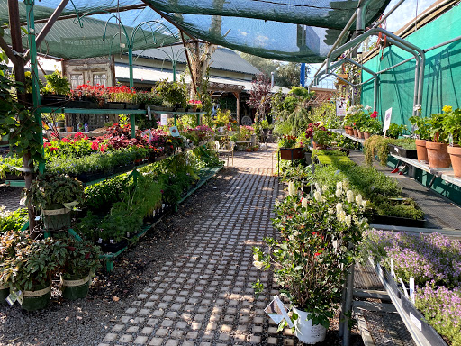 Plant nursery Reno