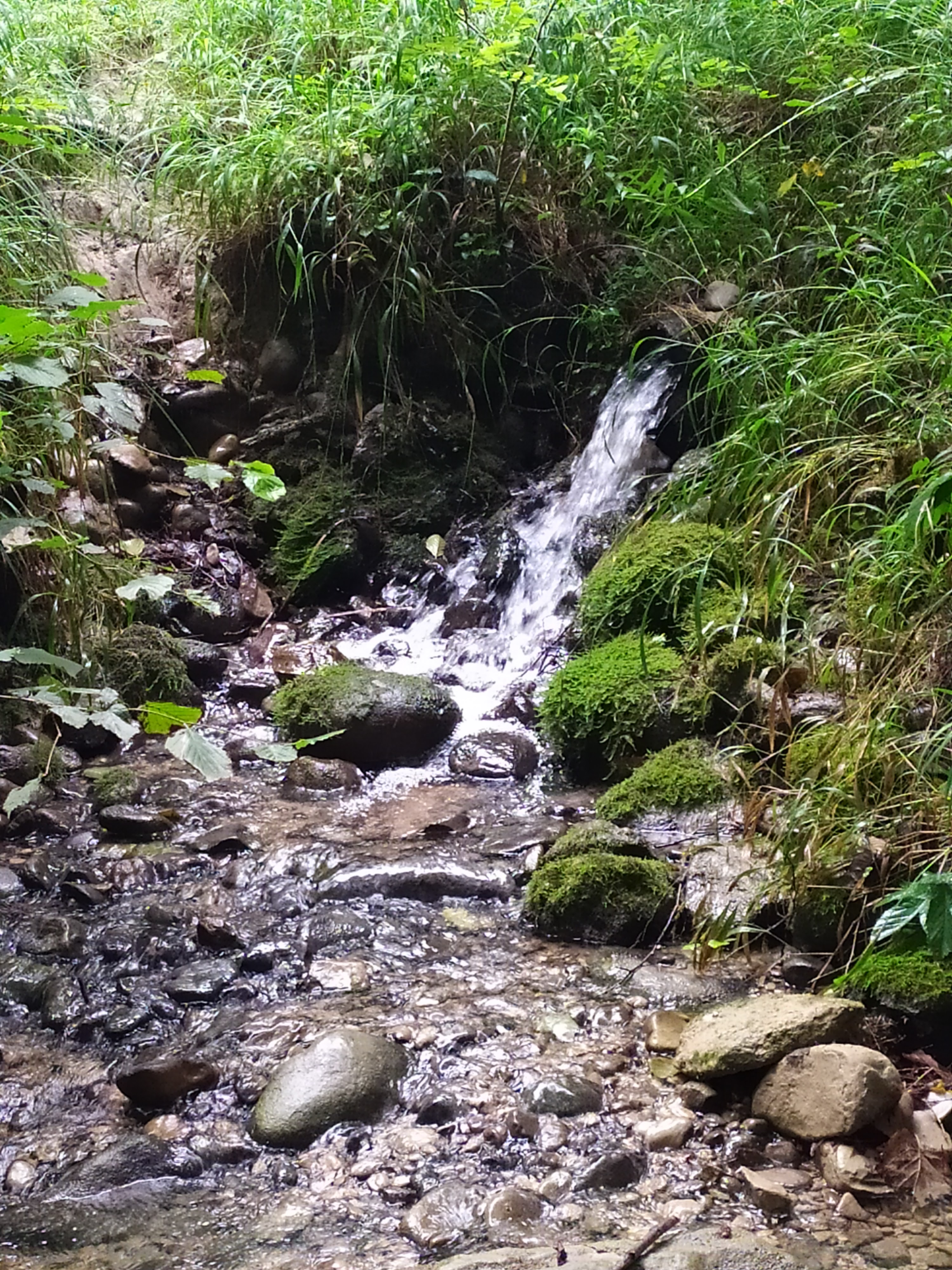 Photo n° 2 de l'avis de Laetitia.e fait le 22/08/2019 à 17:02