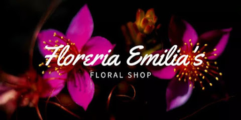 Floreria Emilias