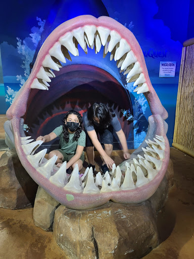 Shopping Mall «Woodbridge Center», reviews and photos, 250 Woodbridge Center Dr, Woodbridge, NJ 07095, USA