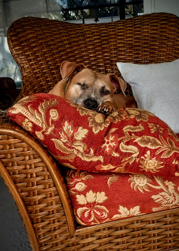 714 60th St Ct E, Bradenton, FL 34208, USA