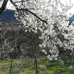 Photo n°6 de l'avis de Tati.p fait le 10/03/2019 à 08:57 sur le  Ristorantino ai 5 Tavoli - Borgo Dolci Colline à Castiglion Fiorentino