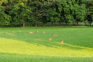 Worthington Farm Parking Area