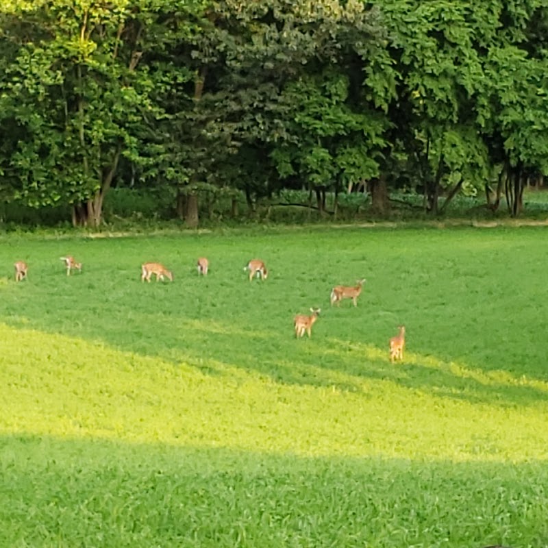 Worthington Farm Parking Area