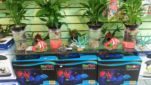 Tropical Fish Store «Caribbean Pets», reviews and photos, 298 Central Ave, Jersey City, NJ 07307, USA