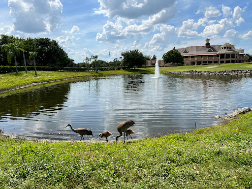 Golf Club «Eagle Creek Golf Community», reviews and photos, 10350 Emerson Lake Blvd, Orlando, FL 32832, USA