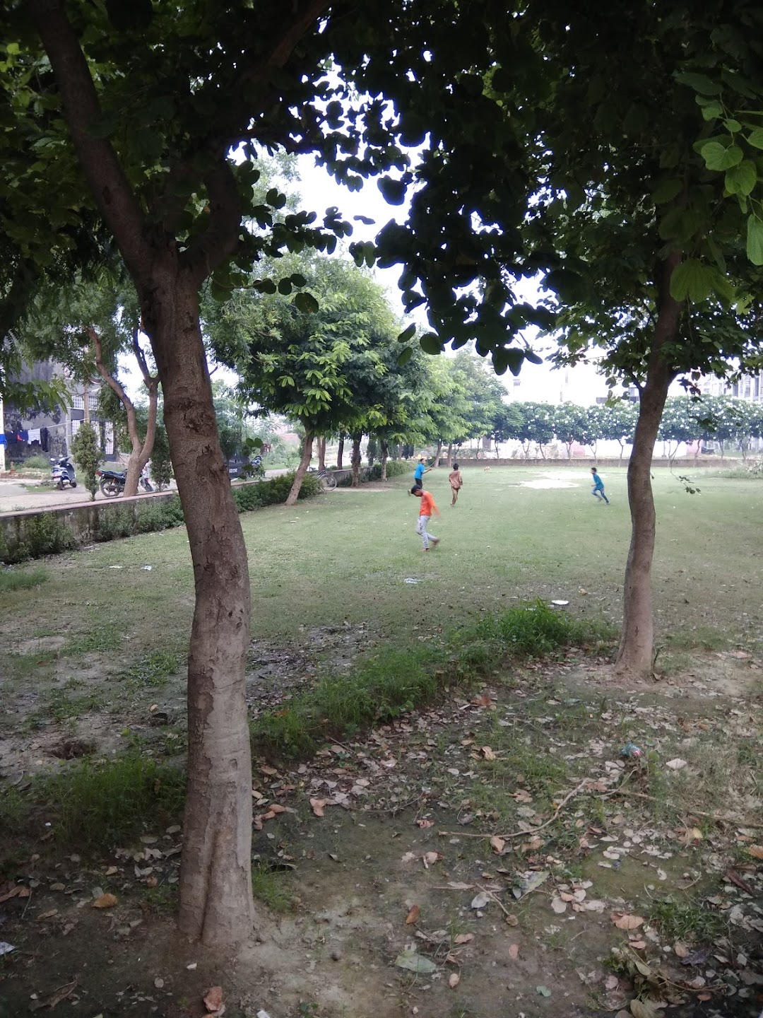 Triangle Park