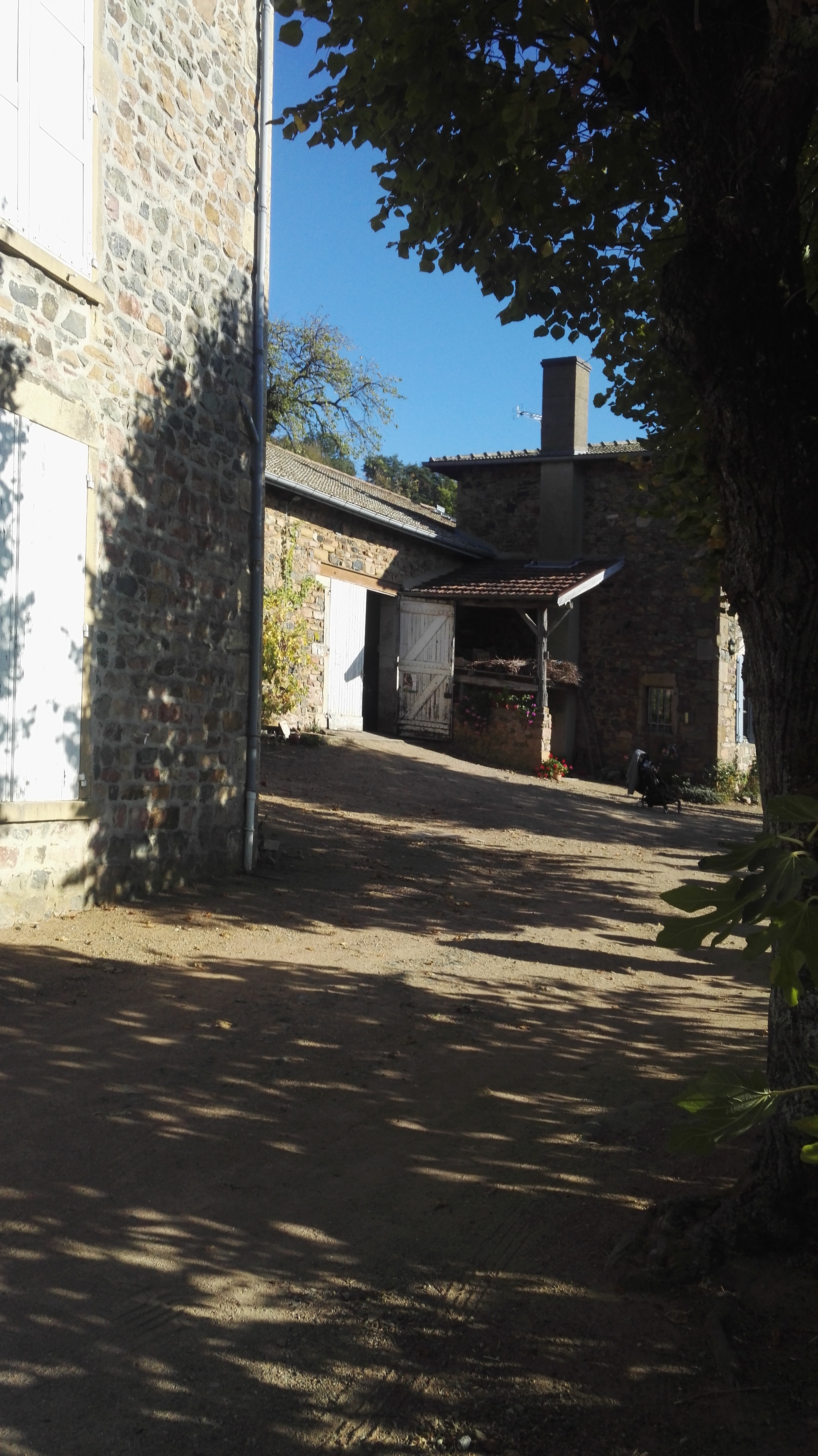 Photo n° 12 de l'avis de Christophe.e fait le 21/10/2018 à 18:48