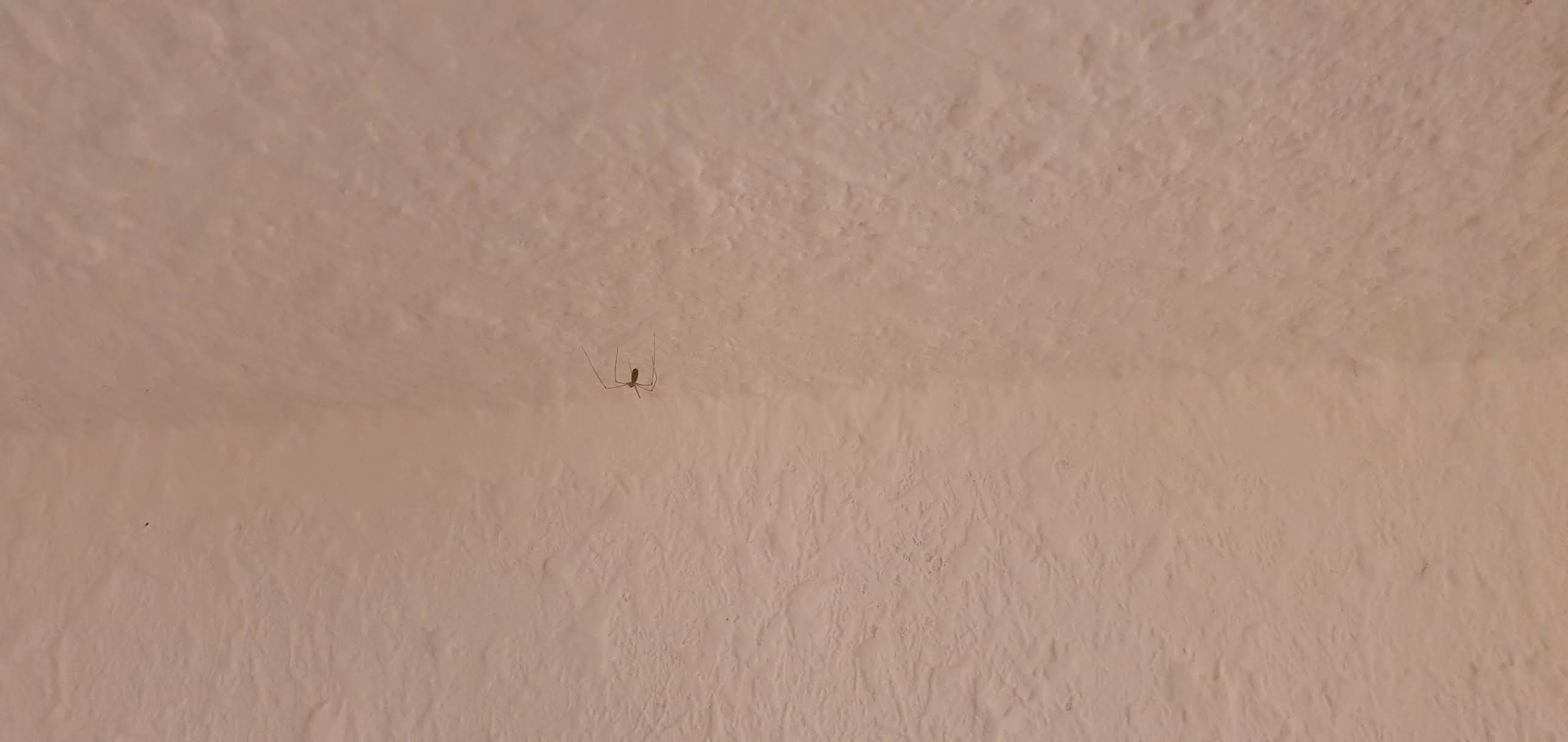 Photo n° 5 de l'avis de Romain.a fait le 22/06/2020 à 08:43