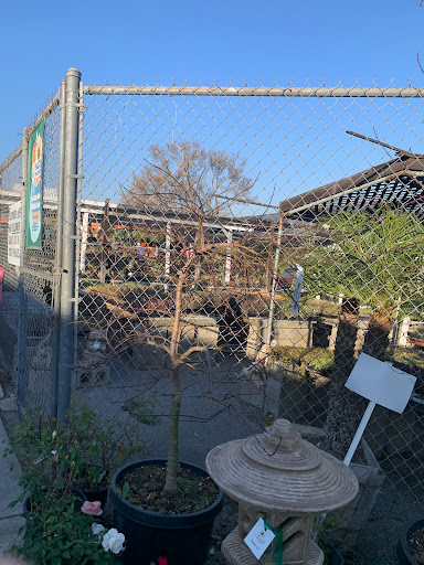 Plant Nursery «San Gabriel Nursery & Florist», reviews and photos, 632 S San Gabriel Blvd, San Gabriel, CA 91776, USA