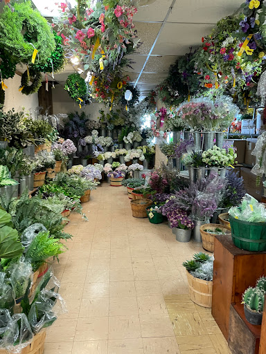 Garden Center «Dees Nursery & Florist», reviews and photos, 69 Atlantic Ave, Oceanside, NY 11572, USA