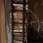 Photo n°7 de l'avis de Michael.c fait le 28/02/2023 à 20:13 sur le  Schinken-Peter à Munich