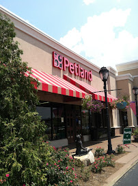 Petland Columbus - Photo 2 - Car repair in Columbus, GA, Columbus