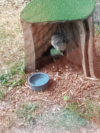 Nature Preserve «Lakeside Nature Center», reviews and photos, 4701 E Gregory Blvd, Kansas City, MO 64132, USA