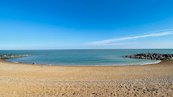 Folkestone Plajı'in fotoğrafı vahşi alan