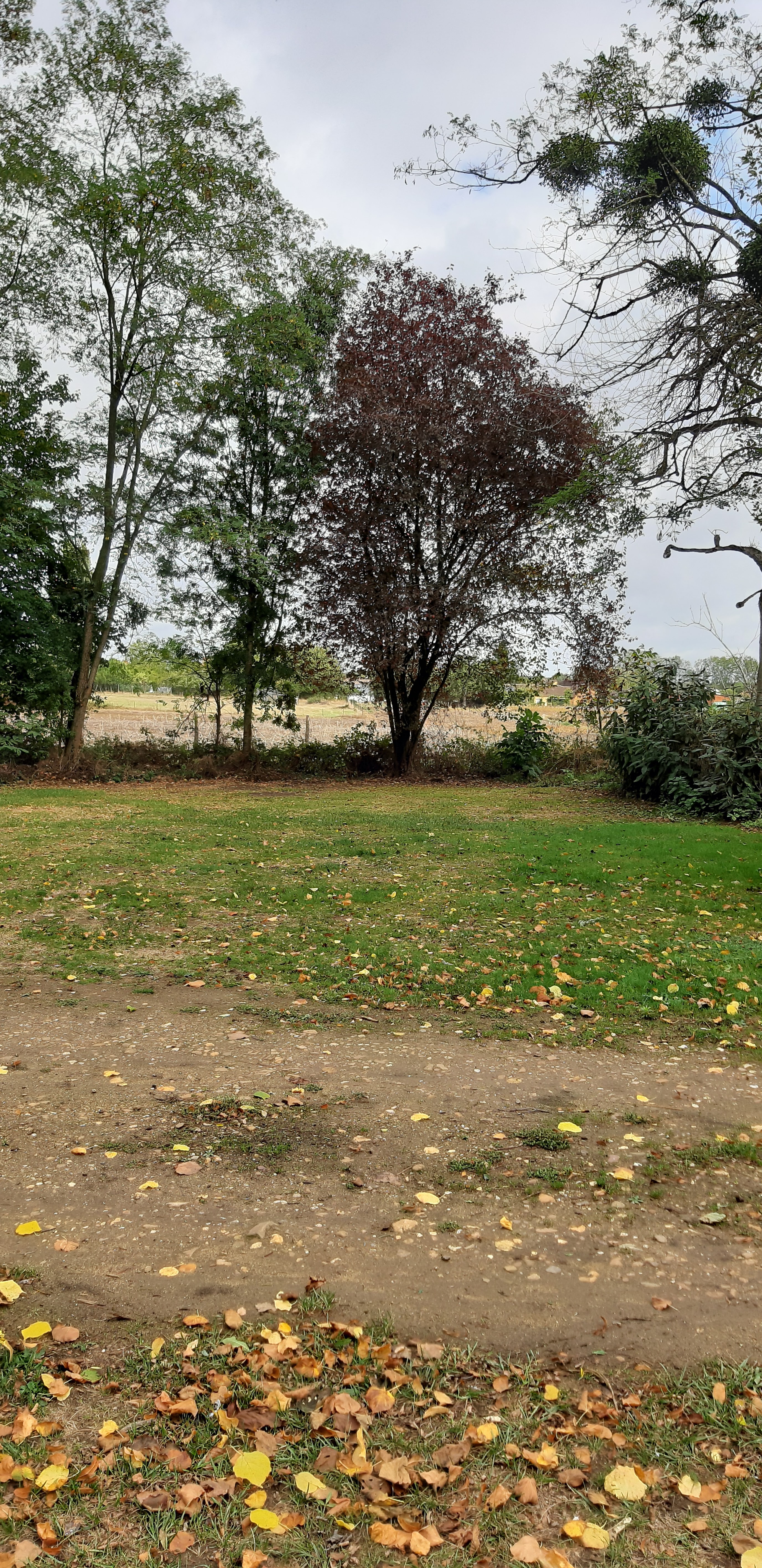 Photo n° 8 de l'avis de Elmie.c fait le 29/09/2019 à 13:57