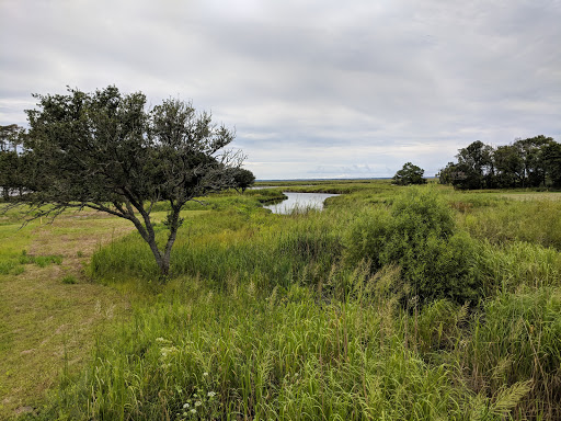 Golf Course «The Currituck Club», reviews and photos, 620 Currituck Clubhouse Dr, Corolla, NC 27927, USA