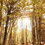 Photo n° 6 de l'avis de Jorge.o fait le 03/11/2022 à 11:14 pour Parking Sansanet à Urdos