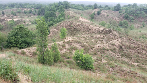 Tourist Attraction «Saugatuck Dune Rides Inc», reviews and photos, 6495 Blue Star Hwy, Saugatuck, MI 49453, USA