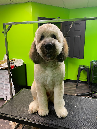 Pupperz Dog Grooming Company