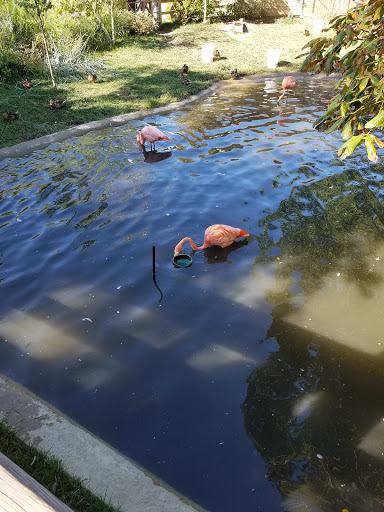 Zoo «Indianapolis Zoo», reviews and photos, 1200 W Washington St, Indianapolis, IN 46222, USA