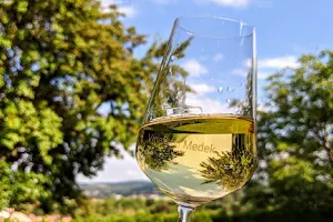 Medek Winery image