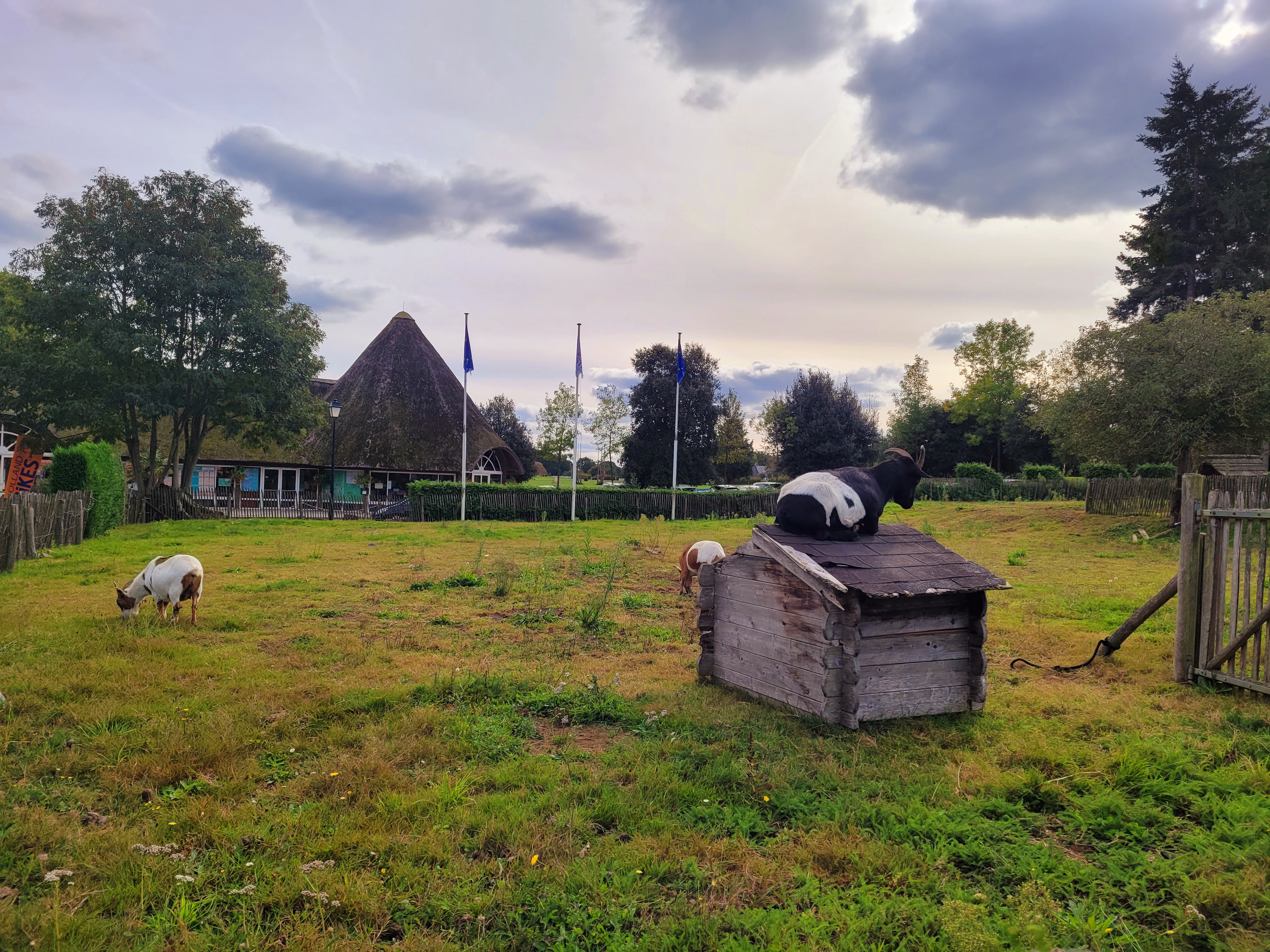 Photo n° 4 de l'avis de Axenciuc.a fait le 15/10/2023 à 18:43
