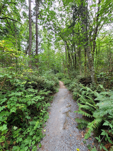 Japanese Gulch South Trailhead