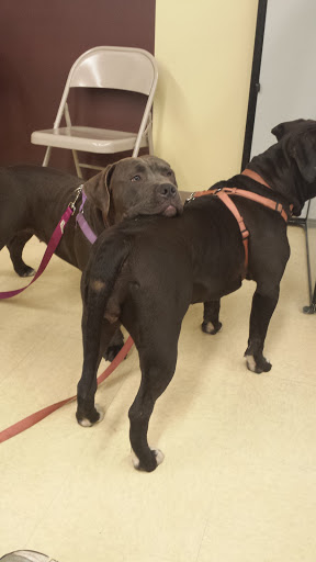 Pet Supply Store «Petco Animal Supplies», reviews and photos, 168 Ames Dr, Barre, VT 05641, USA