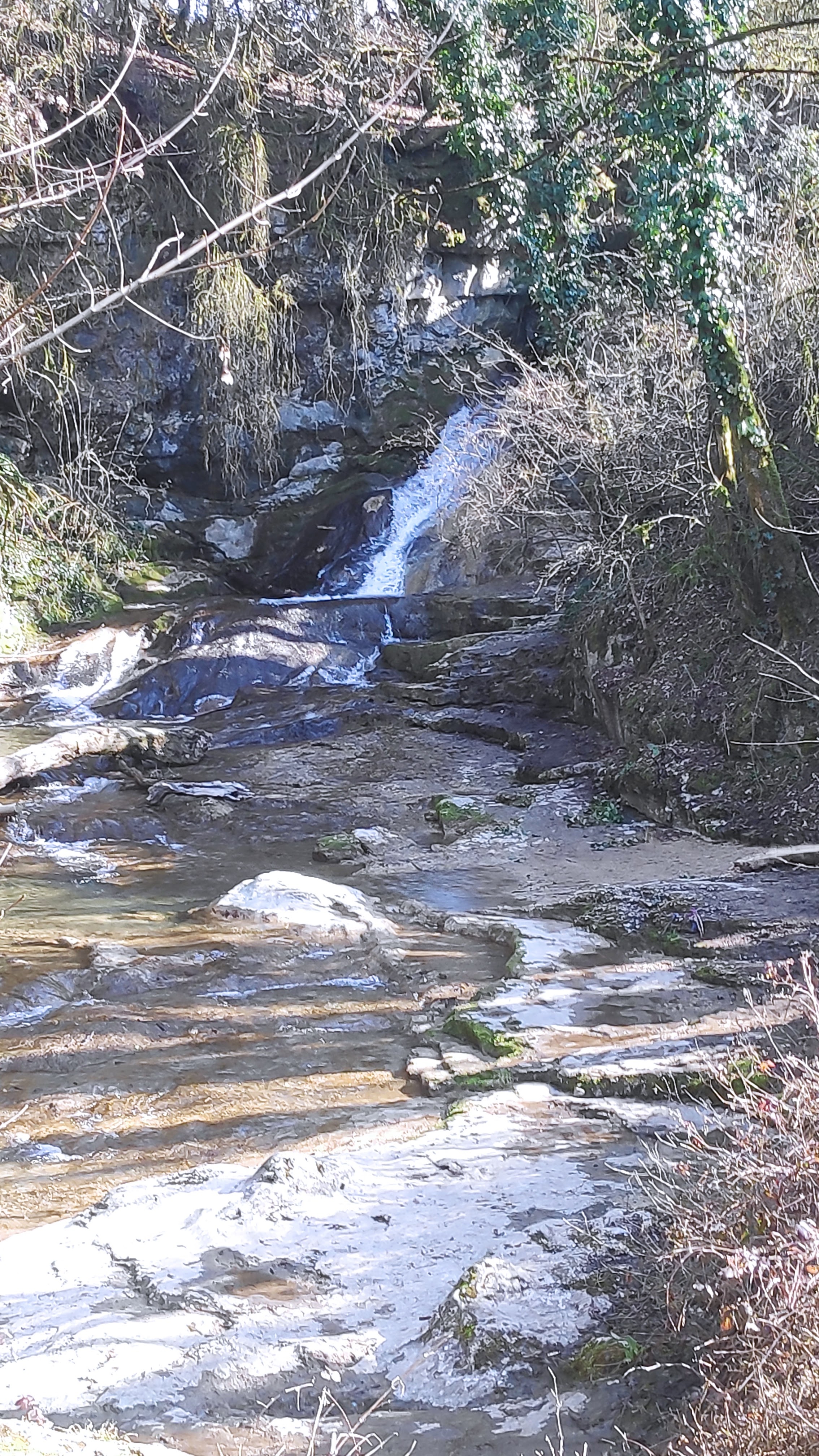 Photo n° 6 de l'avis de Sandrine.o fait le 28/02/2021 à 17:38