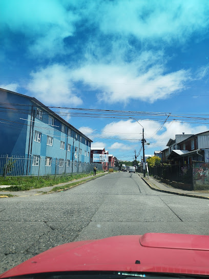 Sociedad Comercial Carniceria Roticeria Y Distribu