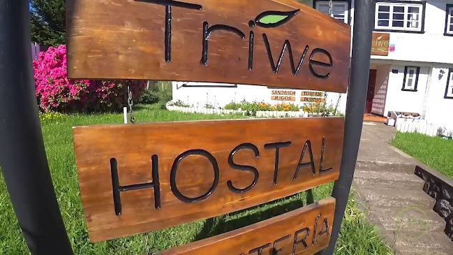 Hostal Triwe - Hotel