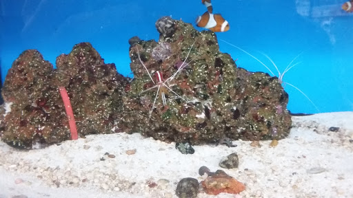 Pet Supply Store «Petco Animal Supplies», reviews and photos, 1215-1309 NJ-33 #1, Hamilton Township, NJ 08690, USA