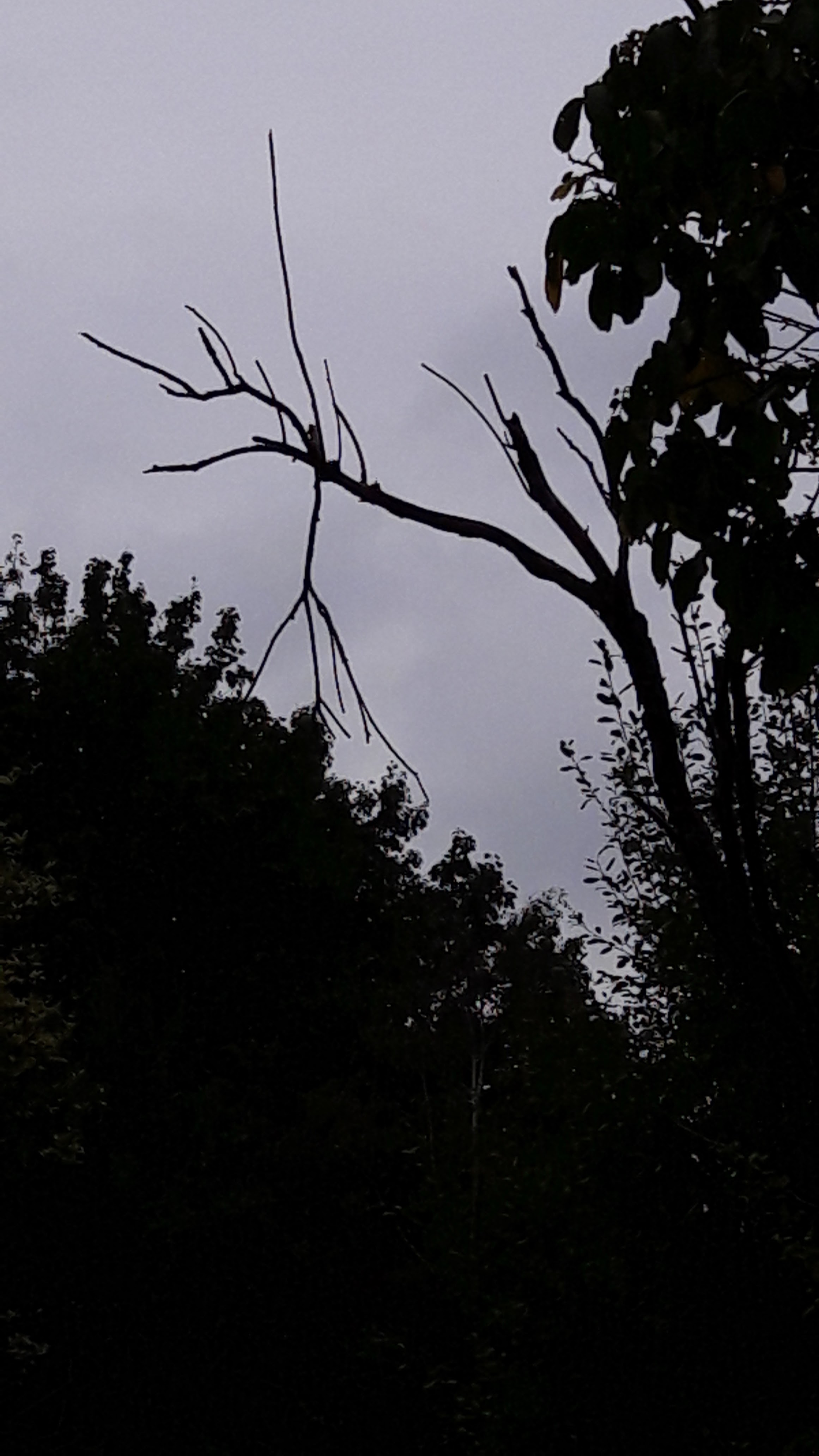 Photo n° 15 de l'avis de Alfa.l fait le 12/09/2019 à 04:09