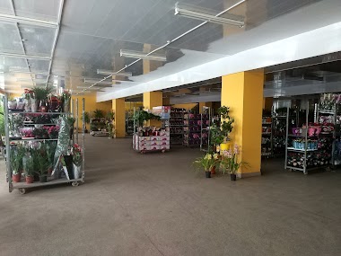 Hurtovnya Kvitiv