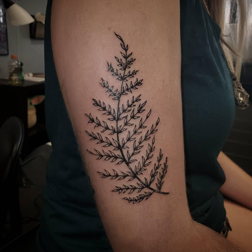 Explore elliott smith tattoo ideas, creative tattoo ideas in Palm Harbor, available at Angry Owl Tattoo and Piercing