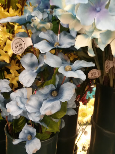 Craft Store «Hobby Lobby», reviews and photos, 3219 Watermill Dr, Burlington, NC 27215, USA