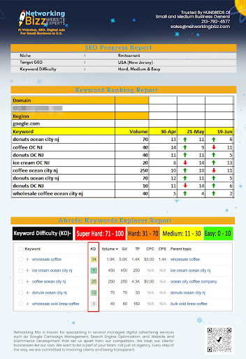 SEO Website Design Pasadena Networking Bizz image