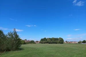 Lees Park image