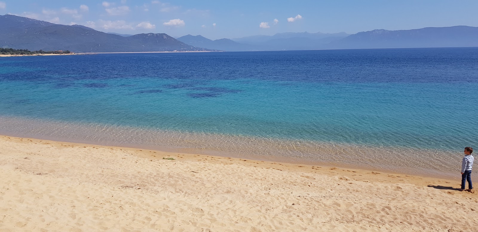 Fotografija Porto Pollo beach z svetel fin pesek površino